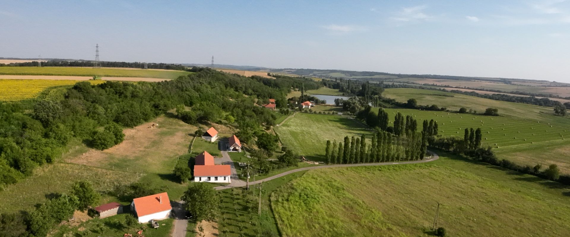 Slide Image